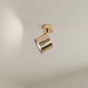 Plafondspot Chloe, zwenkbaar, 1-lamp, staal messingkleurig