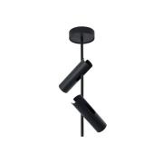 Plafondspot Leda 2, antraciet, 2-lamps, staal, hoogte 55 cm