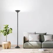 LED vloerlamp Tratto, antraciet, metaal, CCT, dimbaar