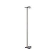 LED vloerlamp Mora, antraciet, hoogte 178 cm, metaal