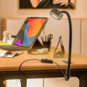 Lindby schroefklemverlichting Jyla, zwart, 2.700 K, GX53