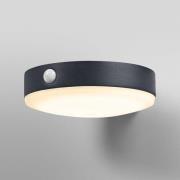 OSRAM LED-sensor LED wandlamp ENDURA STYLE TOSSA Solar 16 cm 830