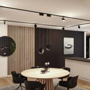 Paulmann URail-pendel Alejandro zwart 4.000 K 3-traps dimbaar