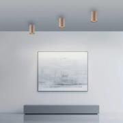 PURE LED badkamer plafondlamp Point, bronskleurig, Ø 6 cm, IP44