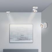 PURE LED plafondlamp Oculis, wit, Ø 15 cm, ijzer/glas