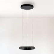 Paul Neuhaus LED hanglamp Q-Stretto, zwart, 40,8 cm