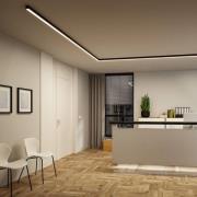 Paulmann LED-lichtlijst Linion, zwart, 50 cm, 3.000 K