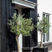 Nostalgische Edam M buitenwandlamp, groen/koper