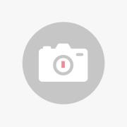 Vibia I.Cono 0725 wandlamp, 54 cm, grijs