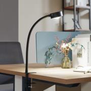 Lindby schroefklemlamp Jyla, matzwart, GX53, flexibele arm