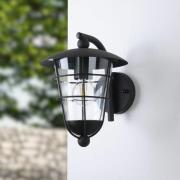 Buitenwandlamp Pulfero, zwart, neerwaards