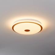 LED plafondlamp Lanciano 1 met afstandsbediening Ø38cm