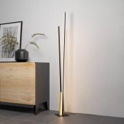 LED vloerlamp Panagria, zwart met houten detail