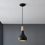 Sabinar hanglamp, 1-lamp, zwart, Ø 18 cm