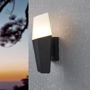 Buitenwandlamp Farindola in zwart/wit