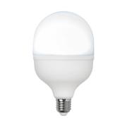 LED lamp E27, 30 W, opaal, 6.500 K, 4.000 lumen, rond