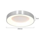 LED plafondlamp Ringlede 2.700 K Ø 48 cm zilver