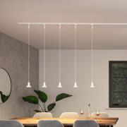 Paulmann URail hanglamp Runa, signaalwit, GU10