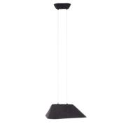 Maxlight Carbon - hanglamp - 55 x 50 x 220 cm - 8W LED incl. - zwart e...