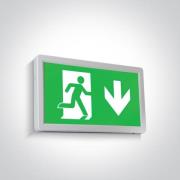 ONE Light Emergency LED Wall and Ceiling Signs - 32 x 2,6 x 18,5 cm - ...
