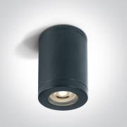 ONE Light GU10 Outdoor Cylinder Lights - opbouwspot 1L - Ø 7,2 x 13 cm...
