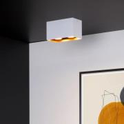 Lucide Bido - opbouwspot - 16,5 x 8,3 x 9,5 cm - wit en messing